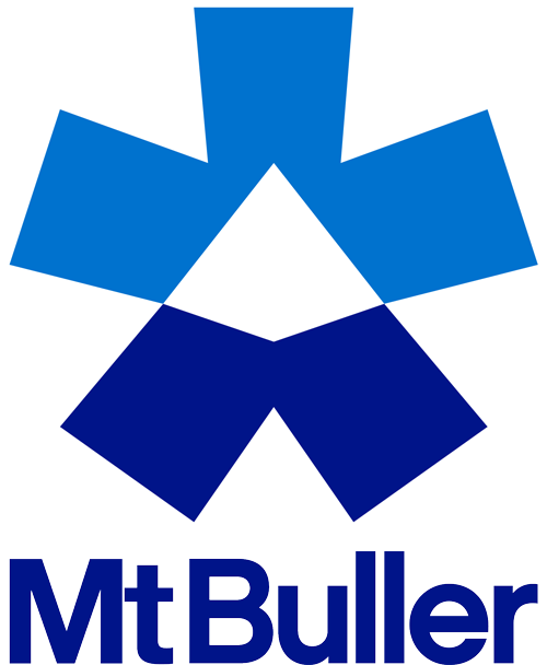 mtbuller_logo_vert_master1